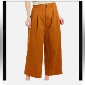 Madewell Women’s Pleated Wide Leg  Cropped Pants NWOT